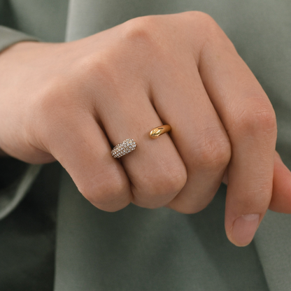 Atelier Ring