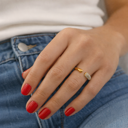 Atelier Ring