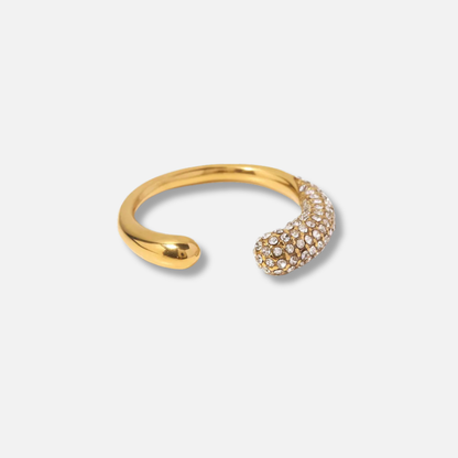 Atelier Ring